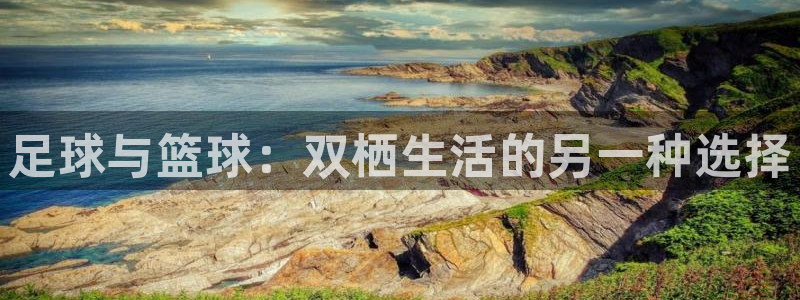 vsport体育在线官网：足球与篮球：双栖生活的另一种选择