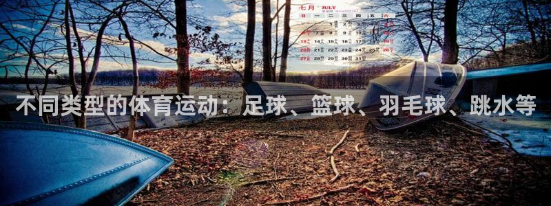 vsport体育在线官网：不同类型的体育运动：足球、篮球、羽毛球、跳水等
