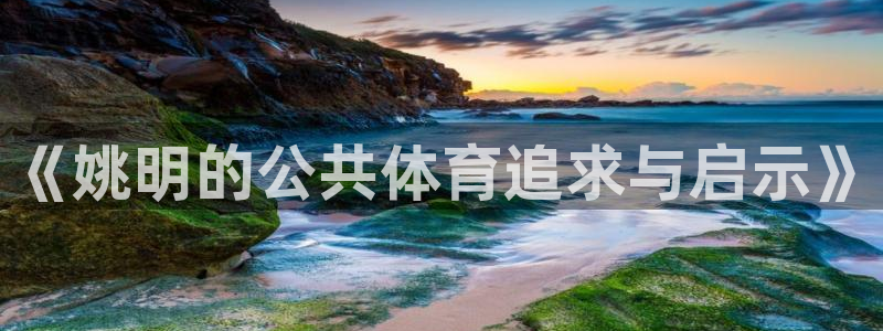 vsport体育在线官网：《姚明的公共体育追求与启示》