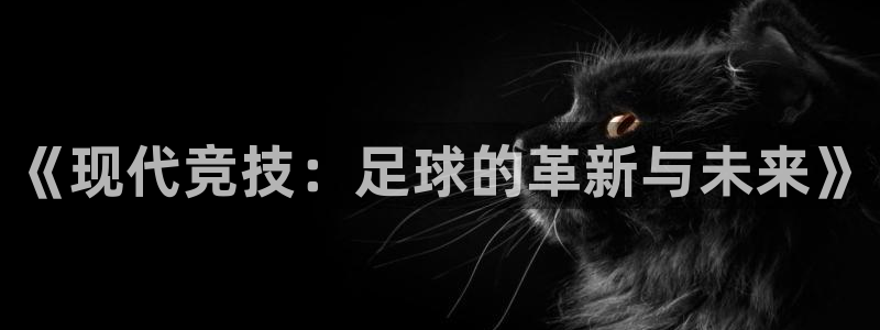 vsport体育：《现代竞技：足球的革新与未来》