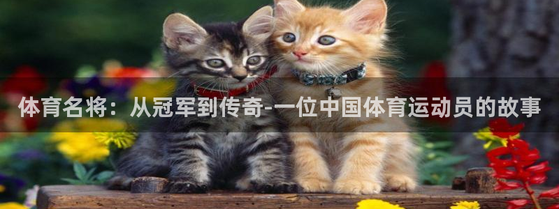 vsport体育：体育名将：从冠军到传奇-一位中国体育运动员的故事