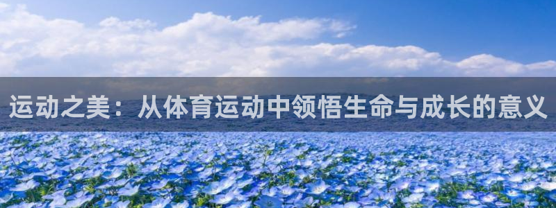 vsport体育在线官网：运动之美：从体育运动中领悟生命与成长的意义