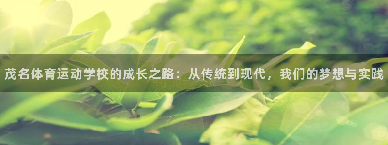 vsport体育在线官网：茂名体育运动学校的成长之路：从传统到现代，我们的梦想与实践