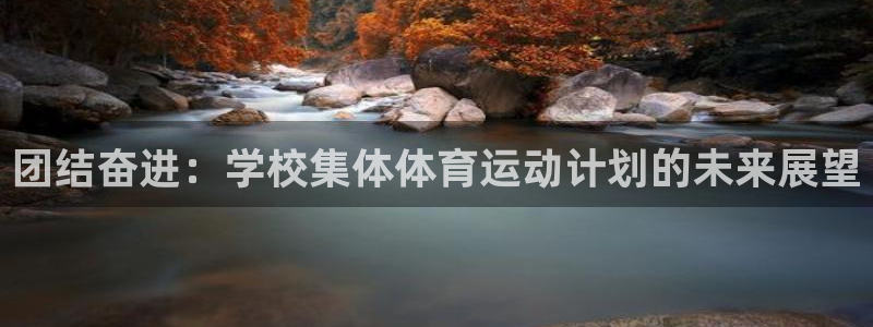 vsport体育在线官网：团结奋进：学校集体体育运动计划的未来展望