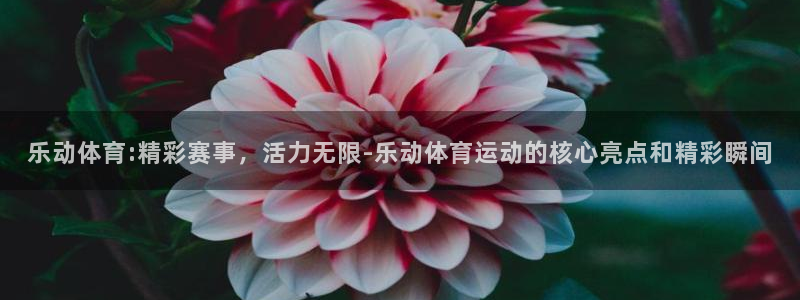 vsport体育：乐动体育:精彩赛事，活力无限-乐动体育运动的核心亮点和精彩瞬间
